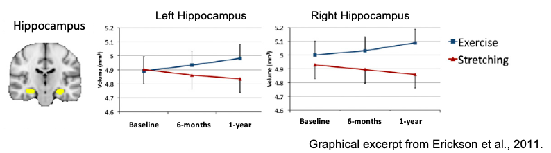 Erickson_graph 6.35.41 AM